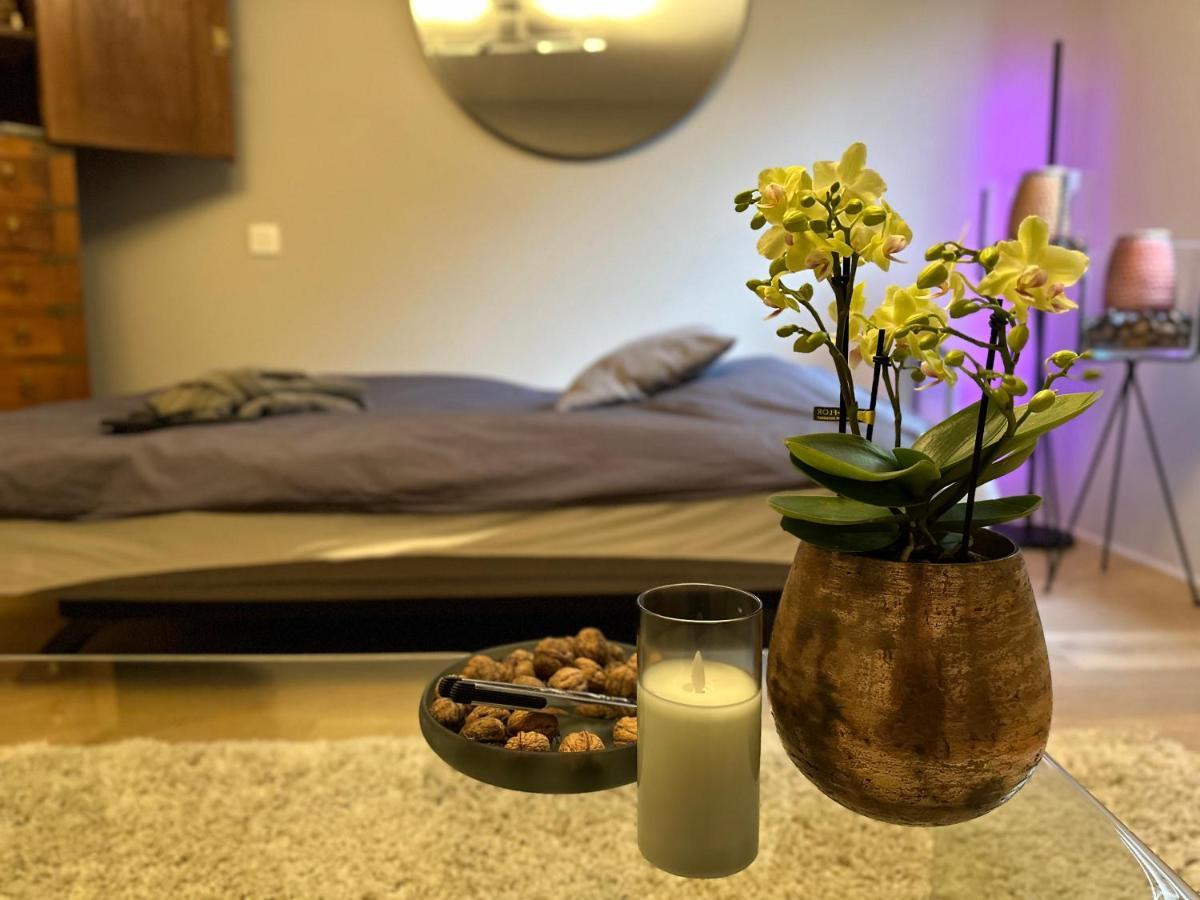 Sweetwater Prive Wellness Villa Oud-Heverlee Dış mekan fotoğraf